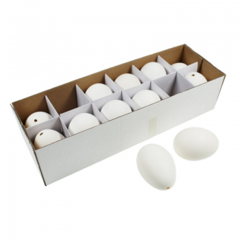Gänseeier weiss (12 Stück)